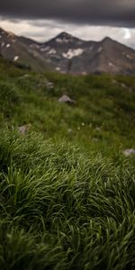 Nature,Grass,Stones,Greens,Mountains,Landscape