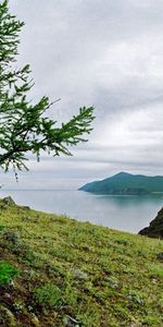 Nature,Grass,Stones,Lake,Shore,Bank,Wood,Tree,Land,Siberia,Earth