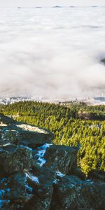 Herbe,Noyaux,Brouillard,Tchéquie,République Tchèque,Montagnes,Nature