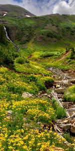 Hierba,Montañas,Alivio,Murmullo,Gluglú,Arroyos,Naturaleza,Flores,Stones,Verduras