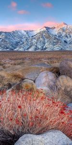 Nature,Grass,Stones,Mountains,Snow,Evening,Autumn