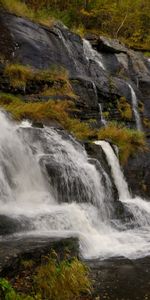 Cascada,Naturaleza,Hierba,Stones,Rocas,Las Rocas,Flujo,Corriente