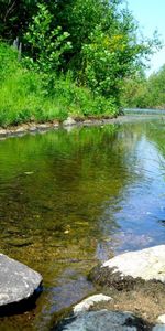 Nature,Grass,Stones,Summer,Lake,Rivers