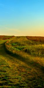 Nature,Grass,Summer,Horizon,Field,Sunset,Mill