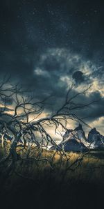 Montañas,Madera,Naturaleza,Hierba,Árbol,Cielo Estrellado