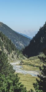 Nature,Grass,Trees,Mountains,Summer