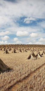 Nature,Récolter,Foin,Poulies,Réas,Nettoyage,Domaine,La Moisson,Champ,Foins,Agriculture