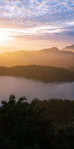 Nature,Hills,Sunset,Fog,Forest