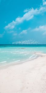 Playa,Arena,Horizonte,Costa,Naturaleza