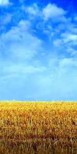 Nature,Horizon,Field,Hay,Stack,Bale,Skirda