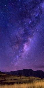 Nature,Horizon,Field,Starry Sky,Night,Milky Way