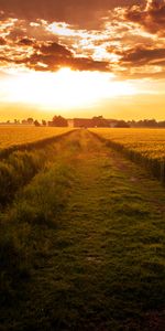 Chemin,Domaine,Nature,Champ,Horizon,Coucher De Soleil