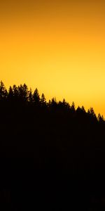 Nature,Horizon,Silhouette,Forest,Sunset