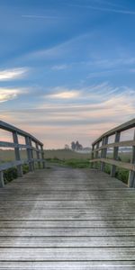 Nature,Horizon,Wood,Bridge,Dahl,Wooden,Distance