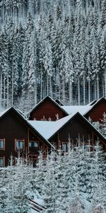 Nature,Houses,Snow,Forest,Winter