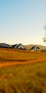 Nature,Houses,Wood,Tree,Blur,Utah,Glade,Small Houses,Diminution,Decrease,Lonely,Polyana,Effect