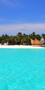 Nature,Island,Tropics,Maldives,Beach