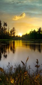 Nature,Lake,Dusk,Sunset,Twilight,Landscape