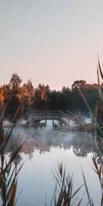 Nature,Lake,Fog,Bridge,Trees