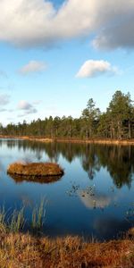 Forêt,Périphérie,Bord,Nature,Herbe,Lac,Automne