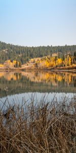 Lago,Bosque,Las Colinas,Naturaleza,Otoño,Colinas,Paisaje