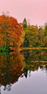 Réflexion,Nature,Lac,Automne,Forêt