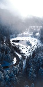 Lac,Route,Forêt,Nature,Hiver