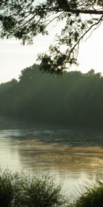 Nature,Lake,Shore,Bank,Boats,Fog