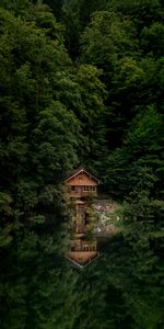 Nature,Lake,Shore,Bank,Forest,Trees,House