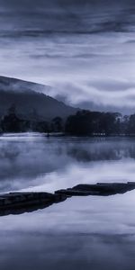 Nature,Lake,Silhouette,Loneliness,Fog