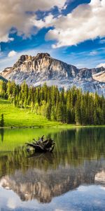 Nature,Lake,Snag,Mountains,Forest