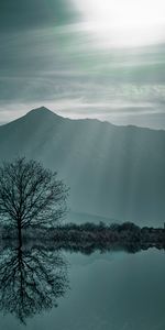 Nature,Bois,Arbre,Crépuscule,Brouillard,Lac,Montagnes