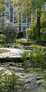 Nature,Lake,Vegetation,Nameplate,Plate,Pond,Courtyard,Water Lilies,Garden,Yard