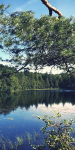 Naturaleza,Paisaje,Lagos