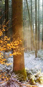 Naturaleza,Paisaje