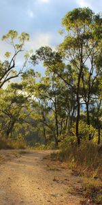 Nature,Landscape