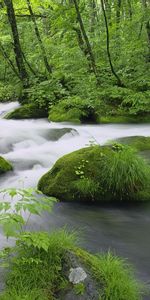 Paisaje,Naturaleza