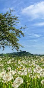 Paisaje,Naturaleza