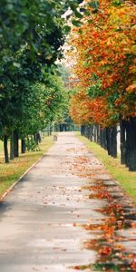 Naturaleza,Paisaje