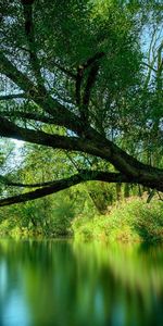 Paisaje,Naturaleza