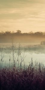 Naturaleza,Paisaje