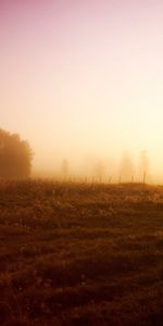 Naturaleza,Paisaje