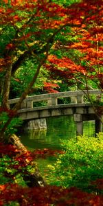 Nature,Landscape,Bridges