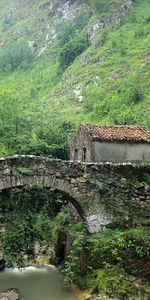 Nature,Landscape,Bridges