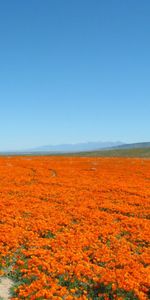 Naturaleza,Paisaje,Los Campos