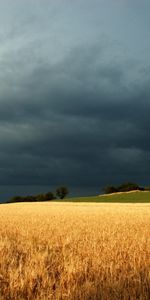 Nature,Les Champs,Paysage