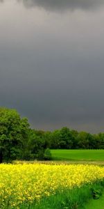 Paysage,Nature,Les Champs