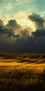 Nature,Landscape,Fields