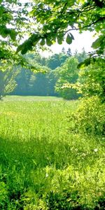 Nature,Paysage,Les Champs