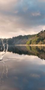 Nature,Paysage,Poissons